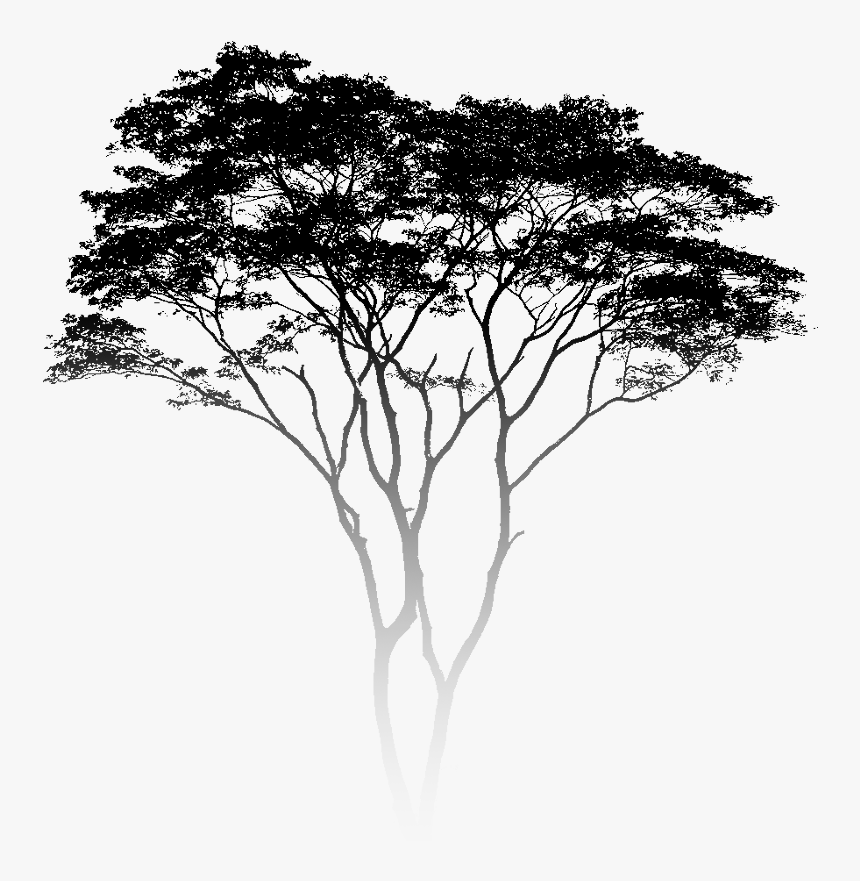 Silhouette, HD Png Download