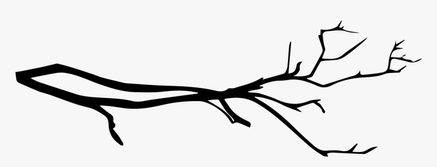 Branch, HD Png Download