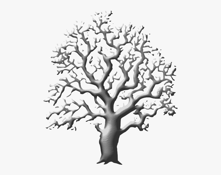 1545158140 - Real Tree Clip Art Black And White, HD Png Download