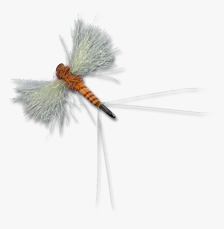 Cdc Biot Spinners - Dragonfly, HD Png Download