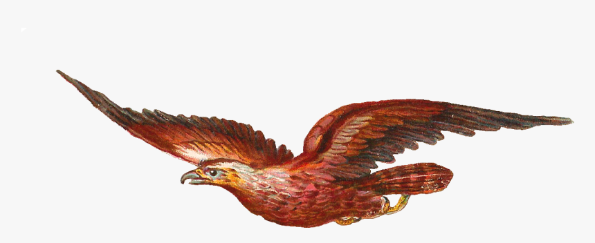 Antique Images Of Clip - Bird Moving Clip Art, HD Png Download