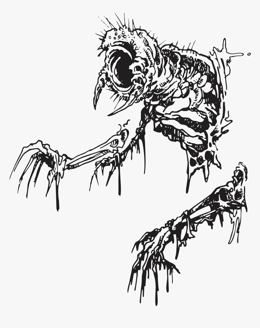 Bird Of Prey , Png Download - Bird Of Prey, Transparent Png