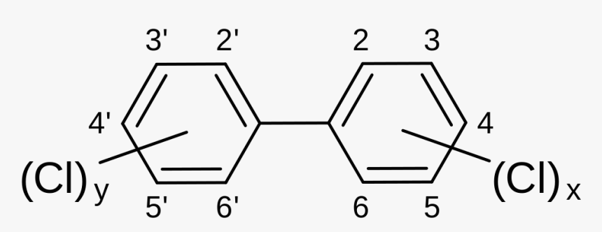 Polybrominated Biphenyls, HD Png Download