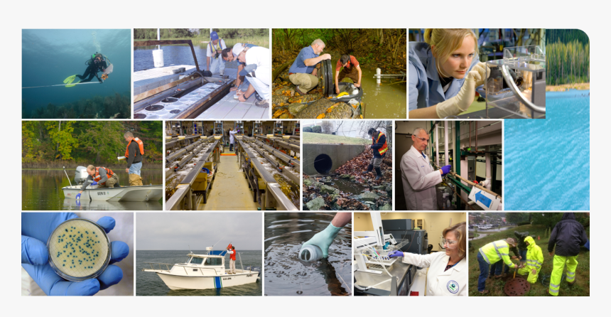 Epa Researchers Conducting Research From Left To Right - Collage, HD Png Download