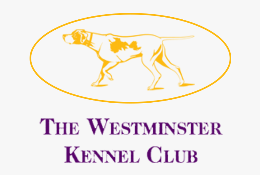 Westminster Kennel Club Dog Show, HD Png Download