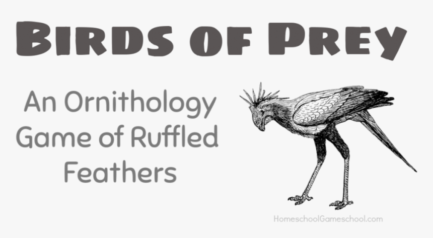 Birds Of Prey, An Ornithology Game Of Ruffled Feathers - Stork, HD Png Download