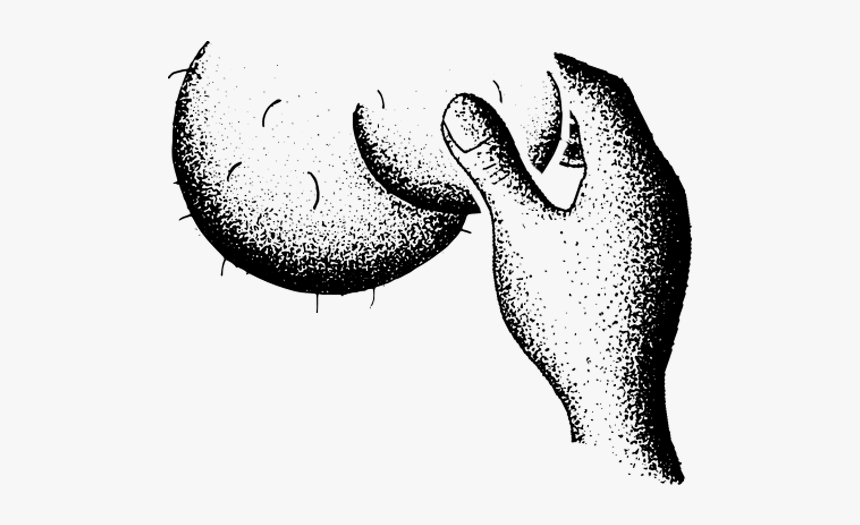 Thumb Image - Testicular Cancer Movember How To Check, HD Png Download