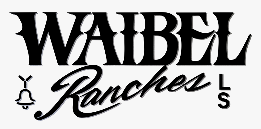 Calligraphy, HD Png Download