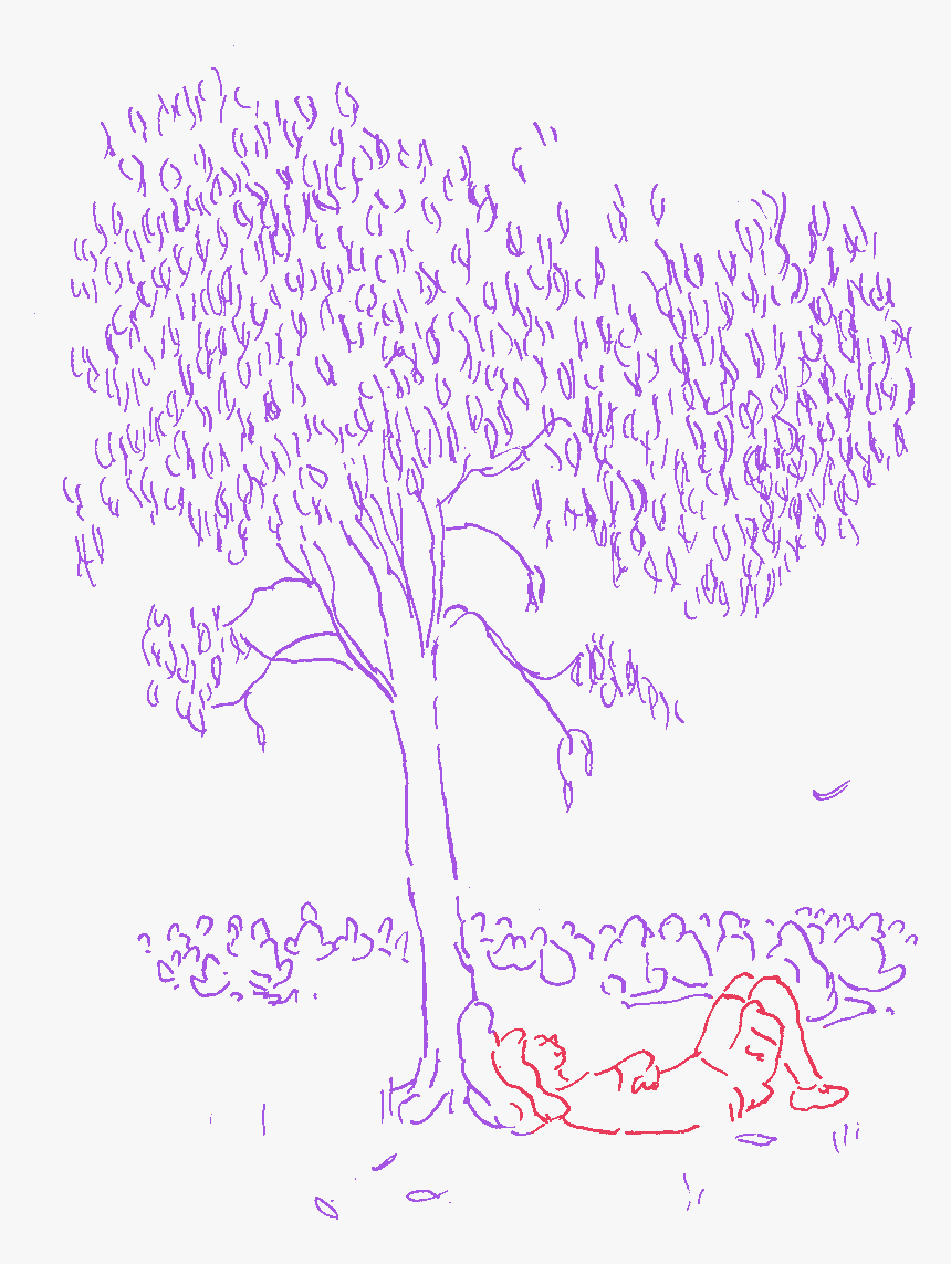 Our Practice To Keep Golden Plains The Right Size - Illustration, HD Png Download