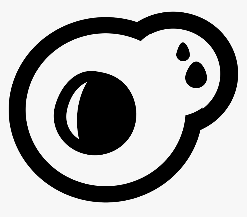 Healthy Recipes - Circle, HD Png Download