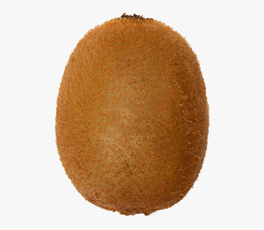 Kiwifruit, HD Png Download