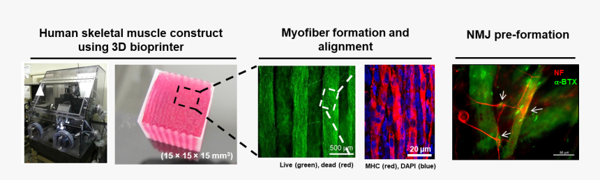Plot, HD Png Download