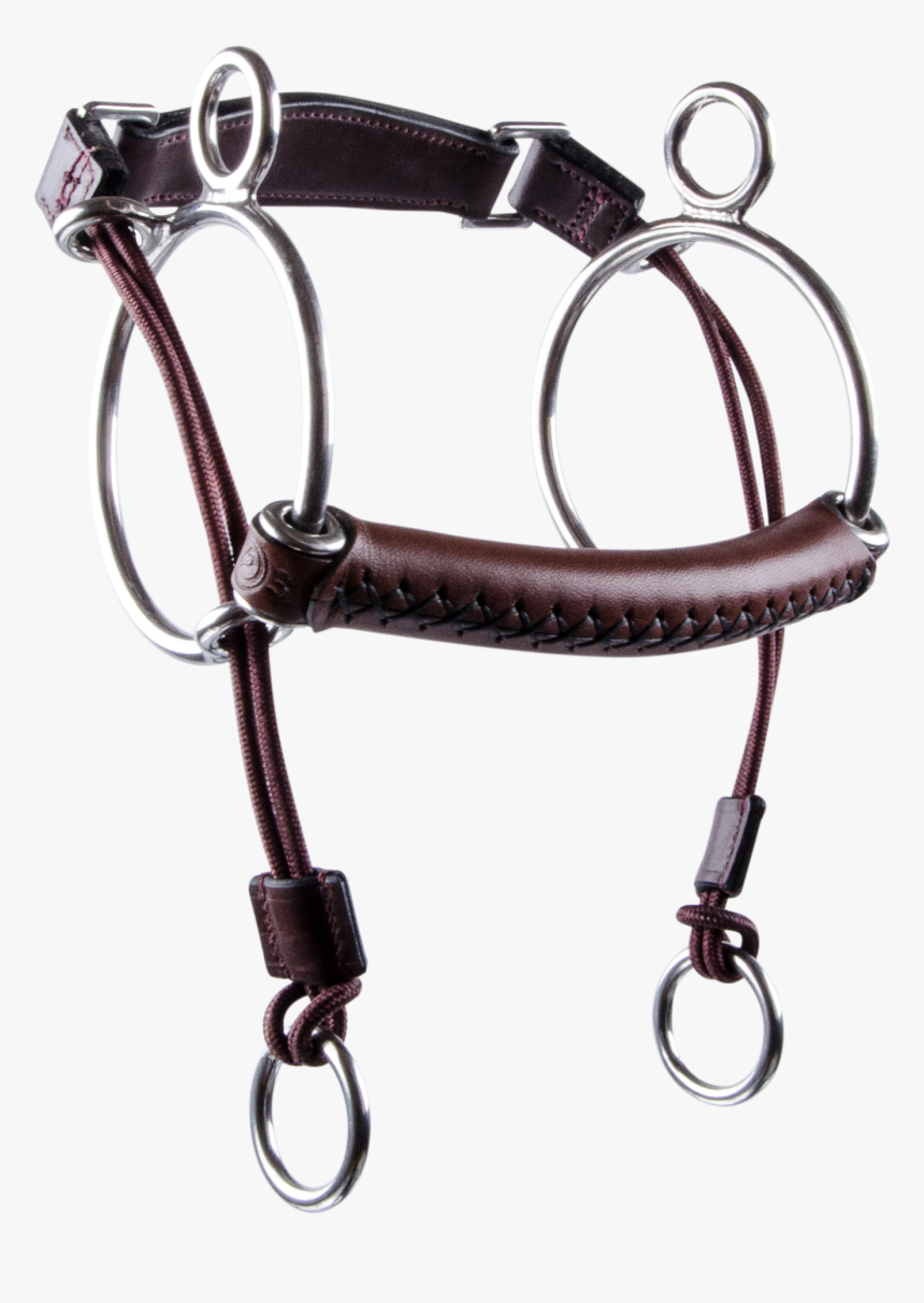 Bridle, HD Png Download