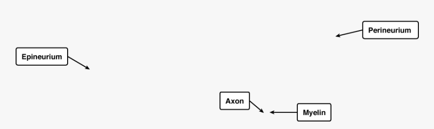 Diagram, HD Png Download