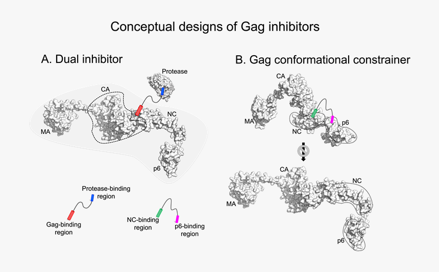 Diagram, HD Png Download