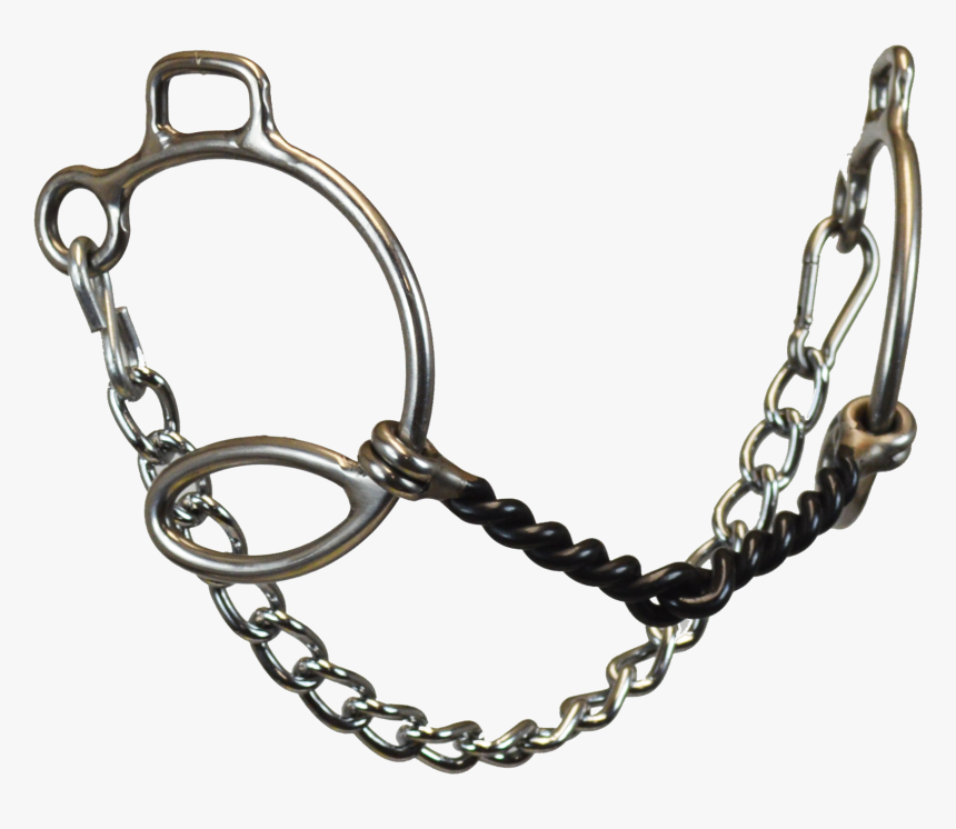 Stainless Steel 66 Cheeks Gag With Sweet Iron Twisted - Chain, HD Png Download