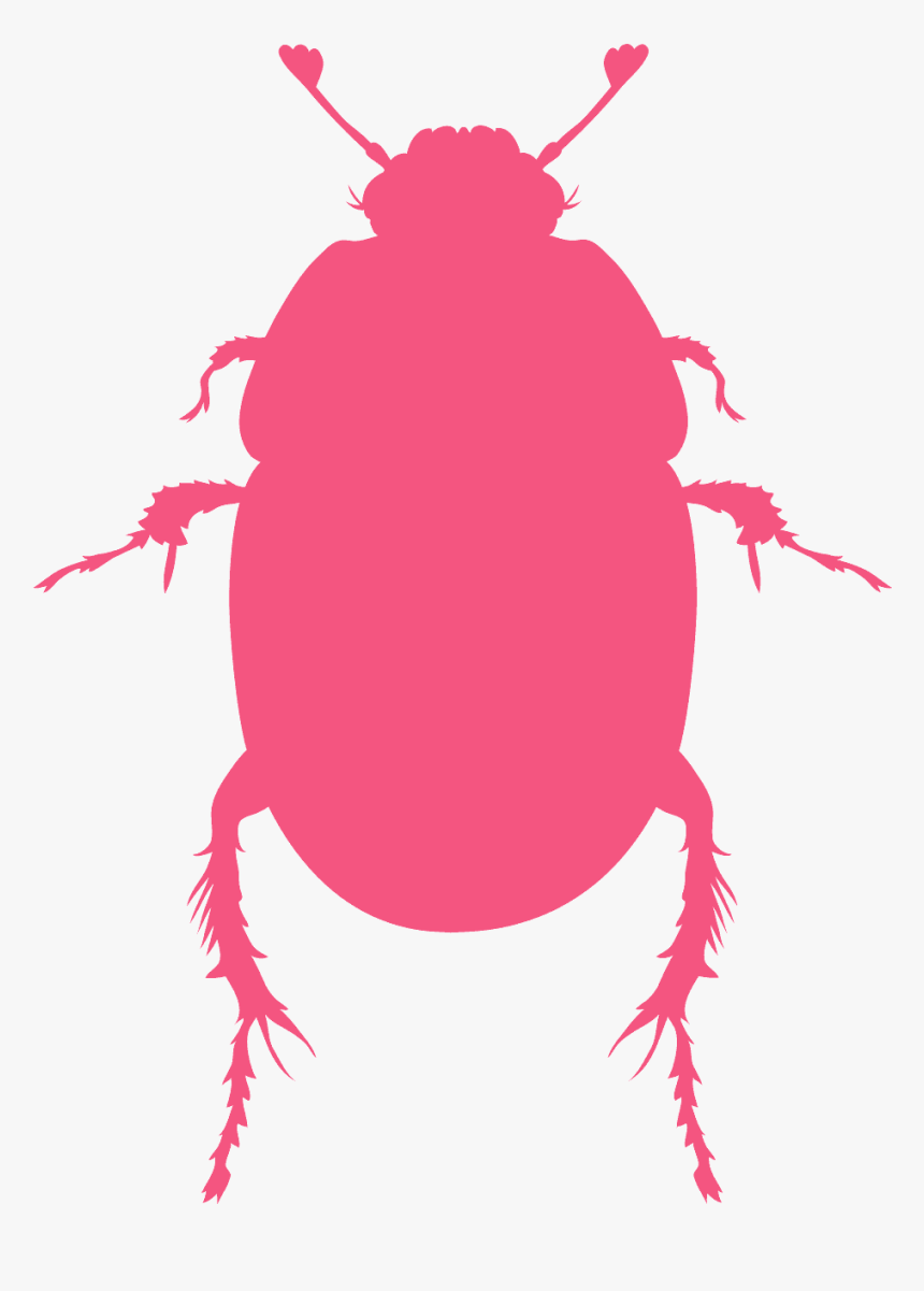 Green Bug Silhouette, HD Png Download