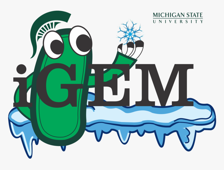 Igem Michigan State University, HD Png Download