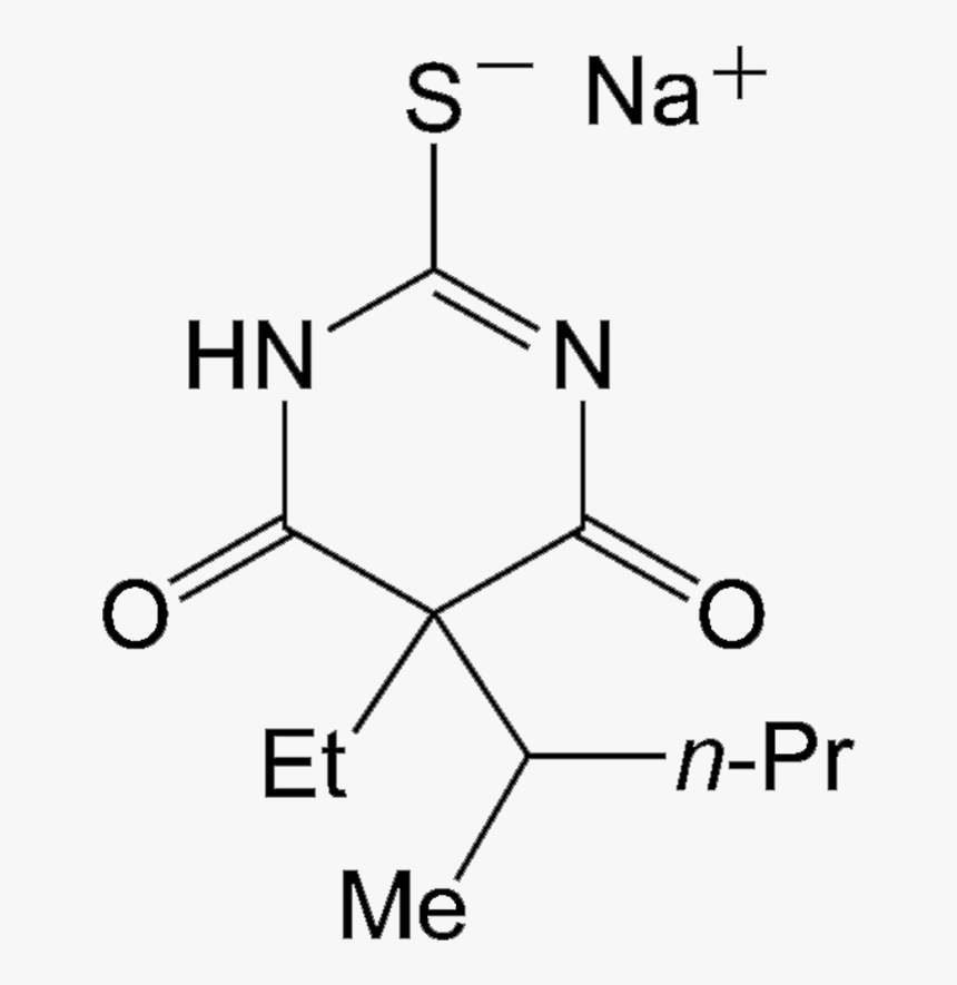 Cytosine, HD Png Download