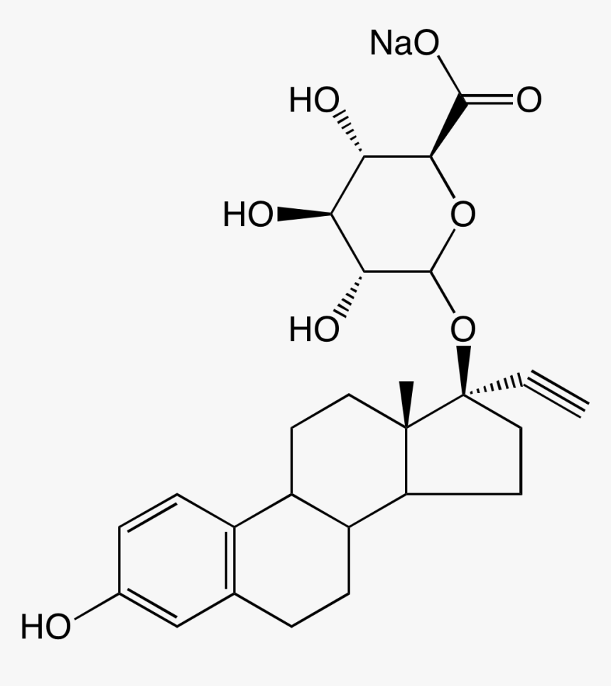 E1564-000 - Mechanisms Of Ethinyl Estradiol, HD Png Download