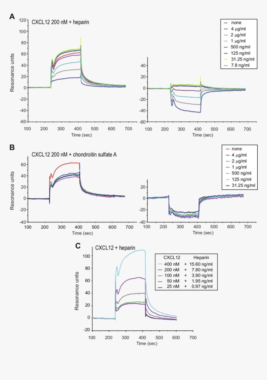 Diagram, HD Png Download