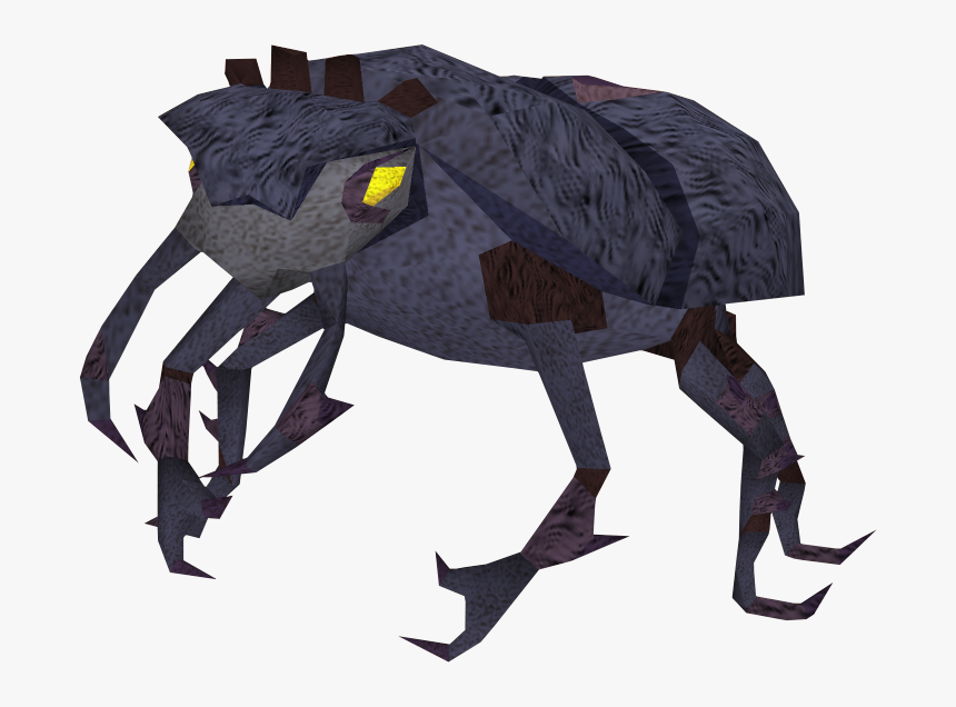 Insect, HD Png Download