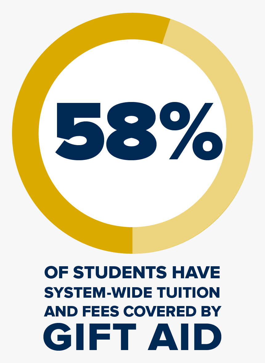 Fifty Six Percent Of Students Have System Wide Tuition - Optimal Systems, HD Png Download