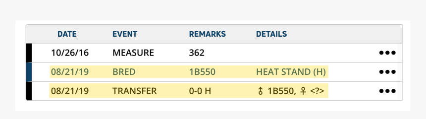 Next Level Inc, HD Png Download