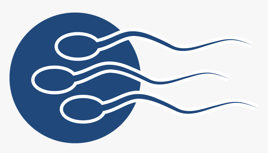 Experts In Equine Reproduction & Embryo Transfer - Circle, HD Png Download