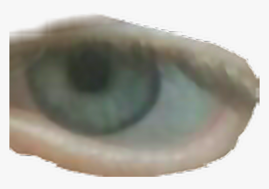 #glaz - Close-up, HD Png Download