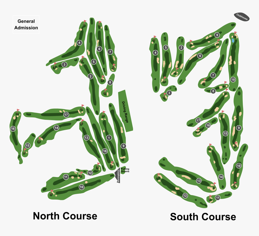 Hyla, HD Png Download