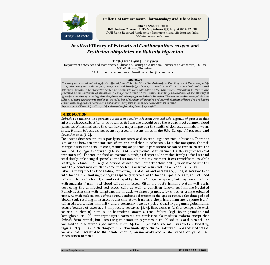 Screenshot, HD Png Download