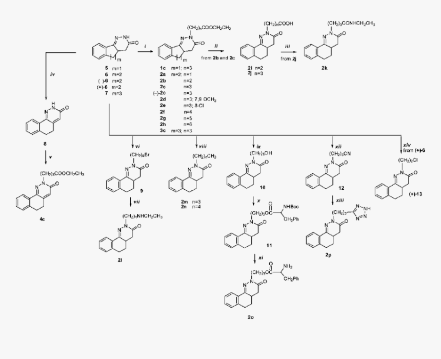 Ch Cooch2 Ch Ch3, HD Png Download