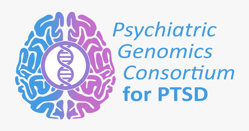 Psychiatric Genomics Consortium For Ptsd - Psychiatric Genomics Consortium Ptsd, HD Png Download