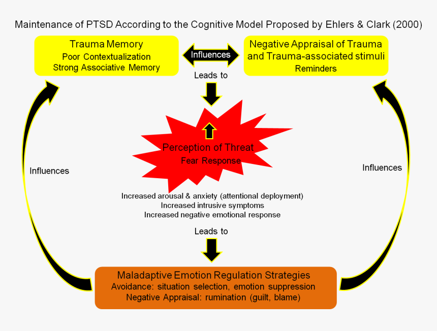 Cognitive Model - Cognitive Model Ptsd, HD Png Download