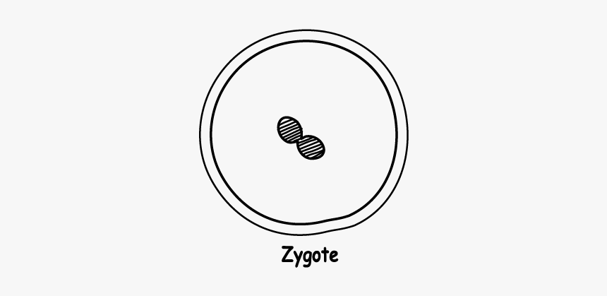 African Union, HD Png Download