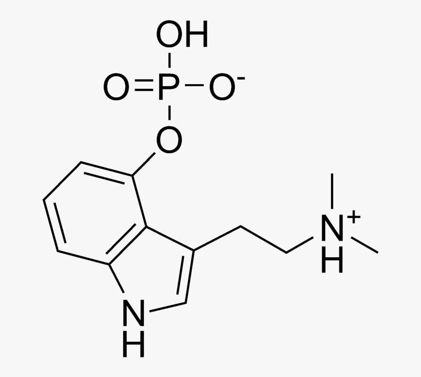 Psilocybin Chemical Structure, HD Png Download