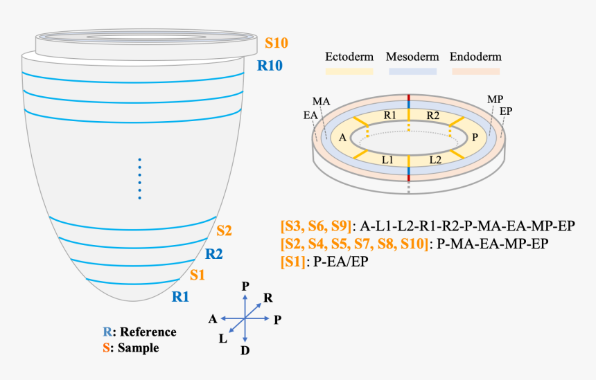Circle, HD Png Download