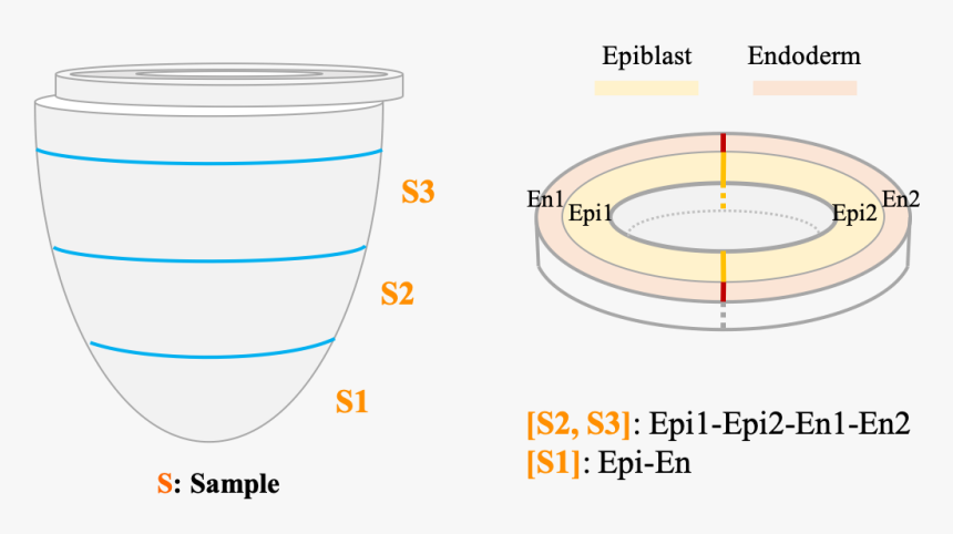 Circle, HD Png Download