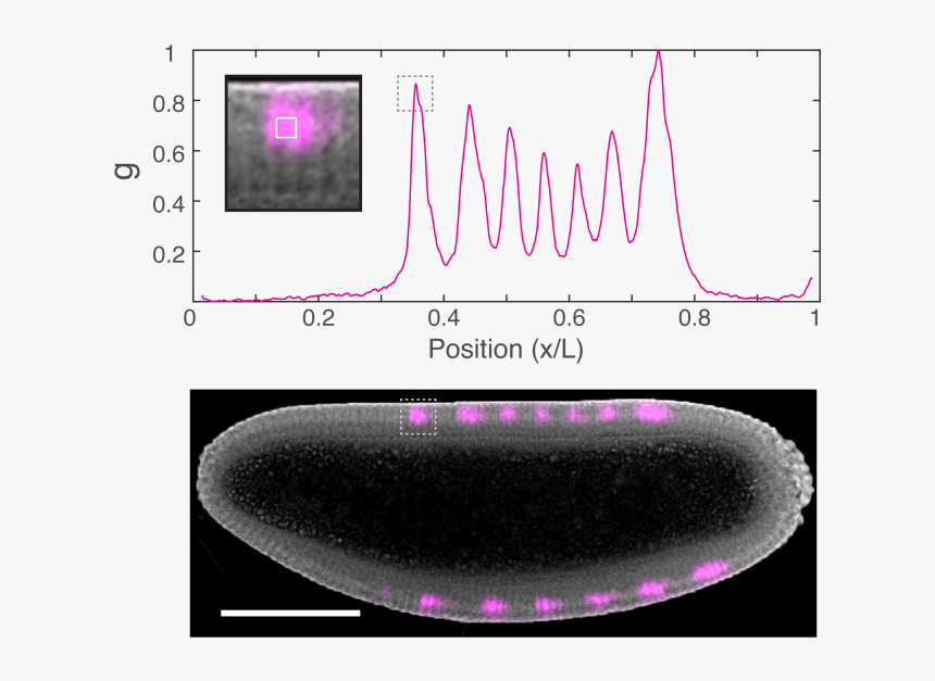 Circle, HD Png Download