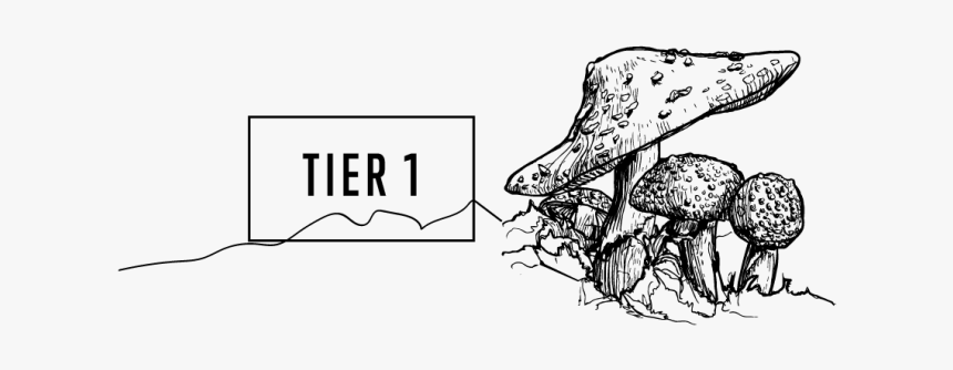 Drawing, HD Png Download