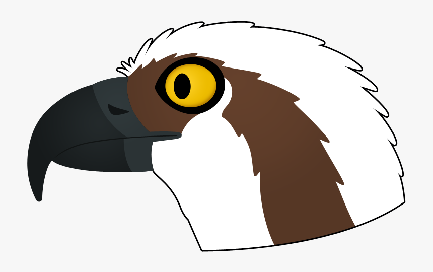 Osprey Logo - Illustration, HD Png Download