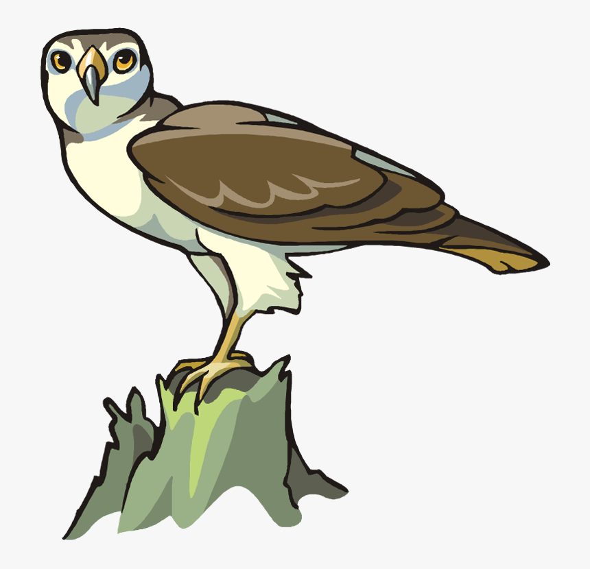 Transparent Eagle Clipart Png - Bird Of Prey, Png Download