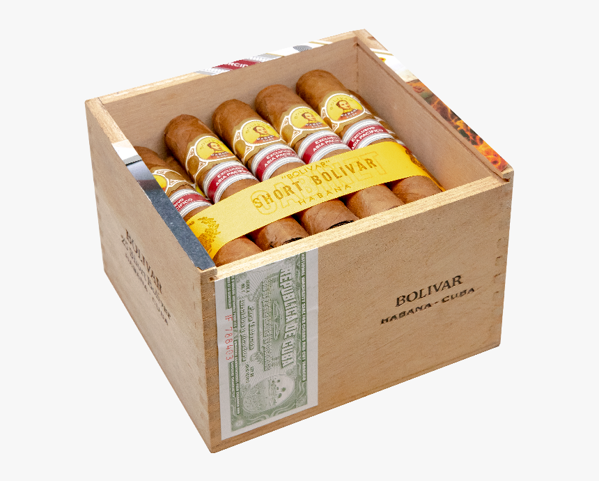 Kiwifruit, HD Png Download