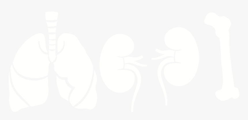 Mouth Side Effects Pill Icons, HD Png Download