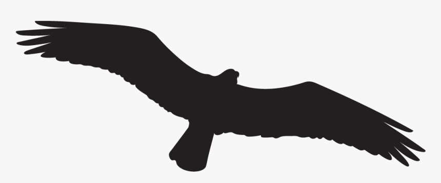 Osprey Clipart Transparent - Fruit Bats Vector Png, Png Download