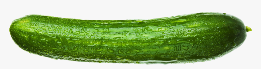 Cucumber Png -cucumber Png Image - Ogórek Png, Transparent Png