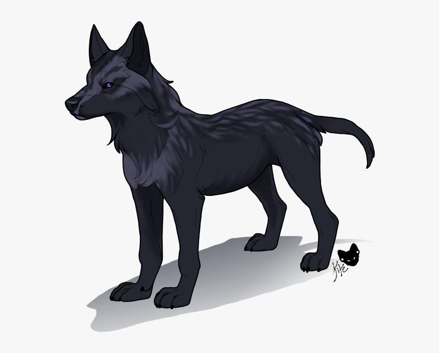 Schipperke, HD Png Download