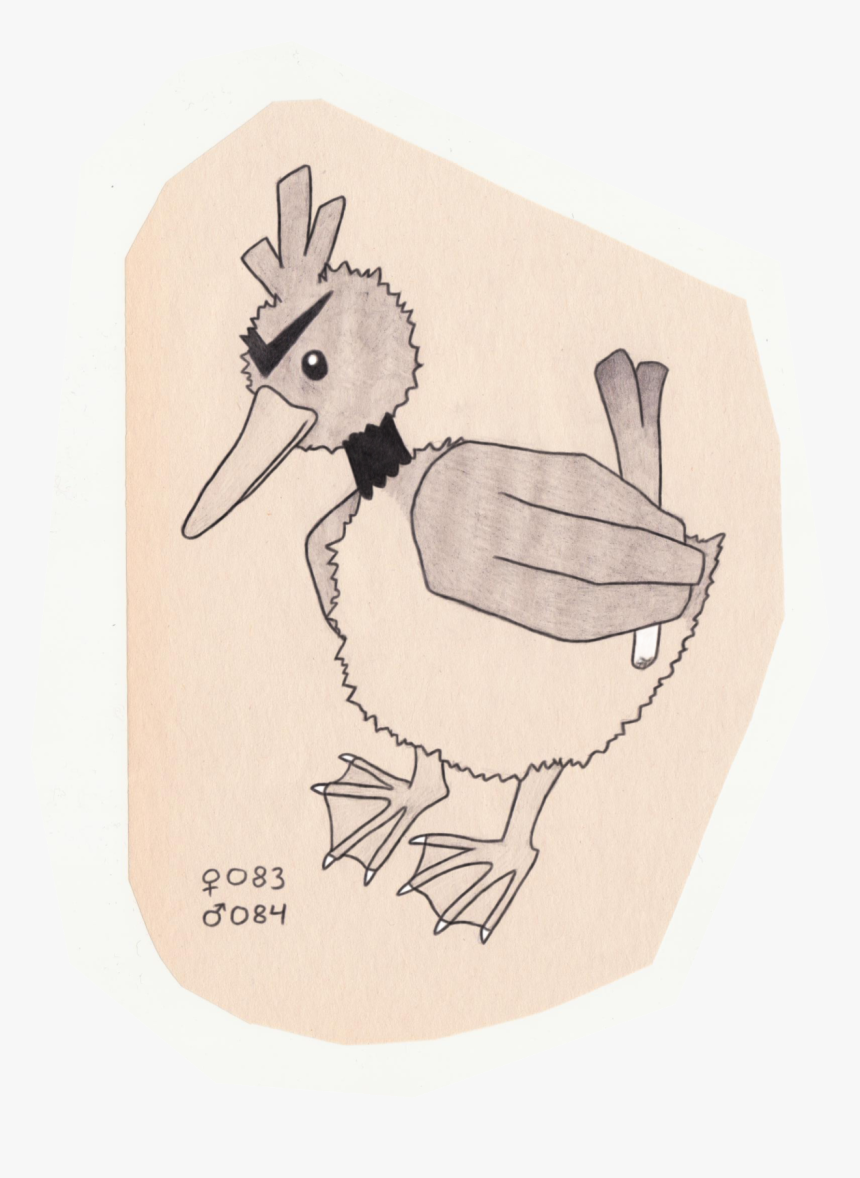 Duck, HD Png Download