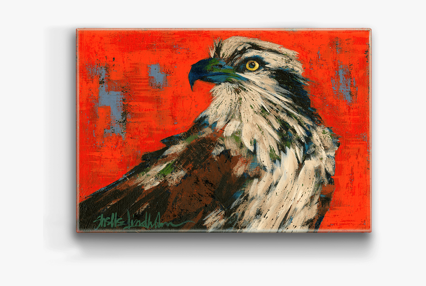 Hawk, HD Png Download